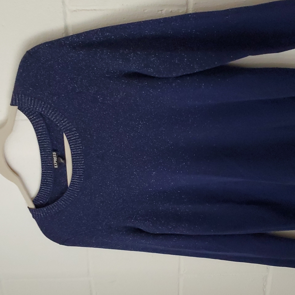 Express Navy Blue Crew Neck Sweater Size Large